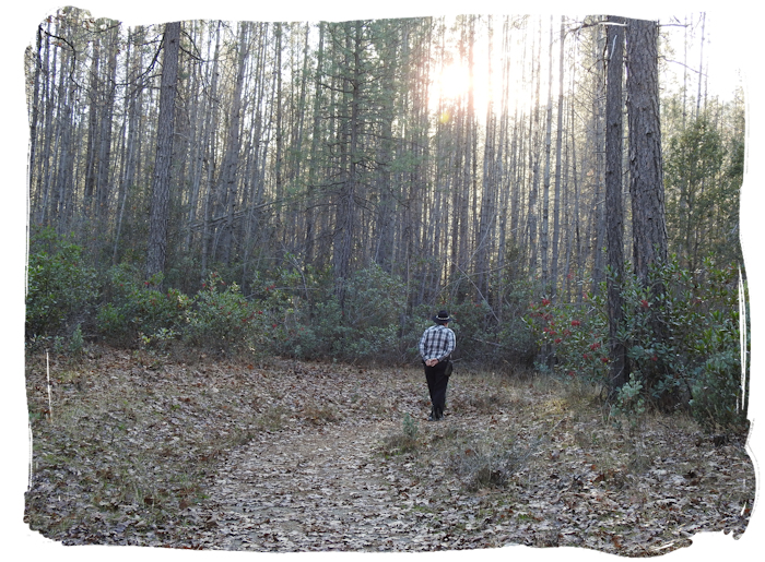 winter hiking in Whiskeytown NRA