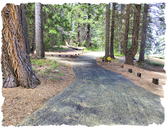 Lake Almanor Recreation Trail