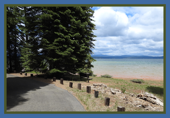 Lake Almanor Trail