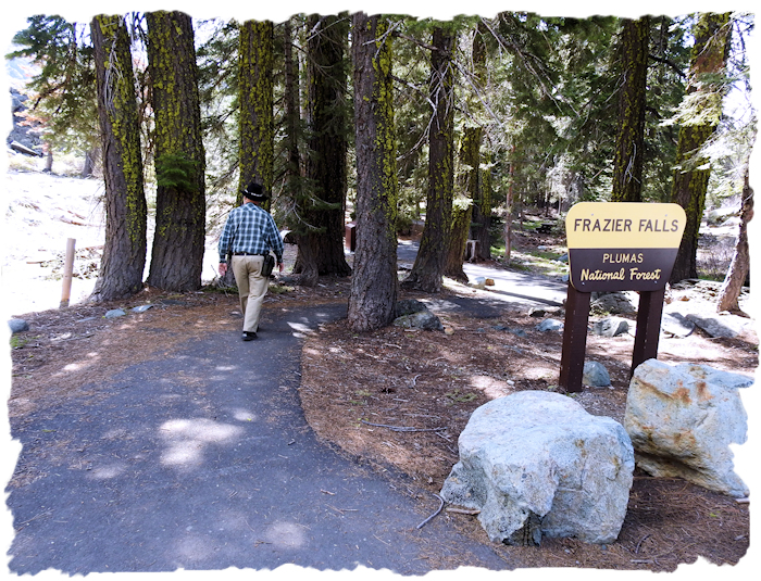 Frazier Falls Trail beginning