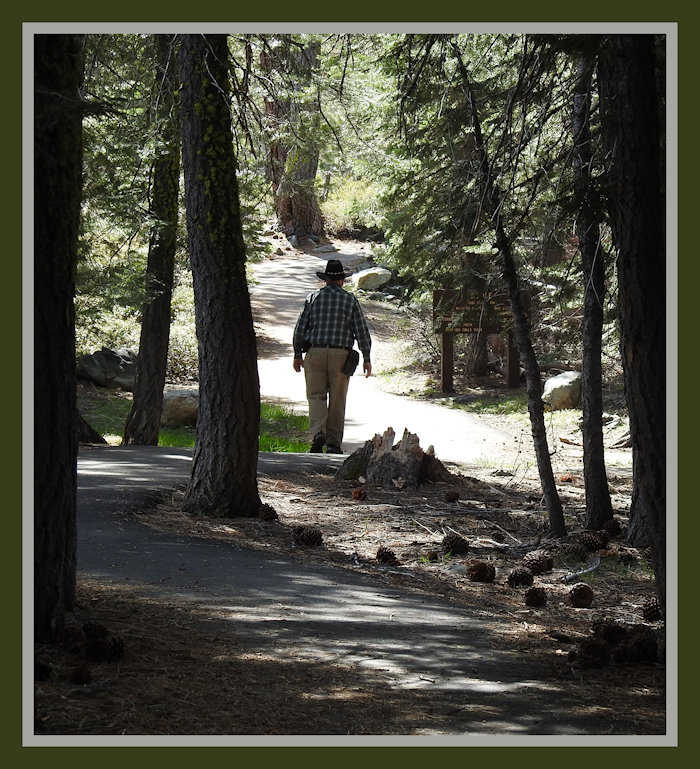 Frazier Falls Trail inclines