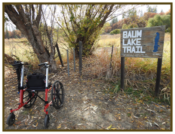 Baum Lake Trail