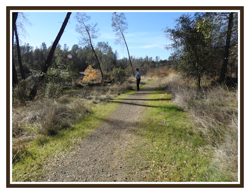 Clear Creek Gorge Trails