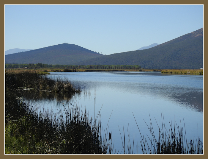 Little Tule River