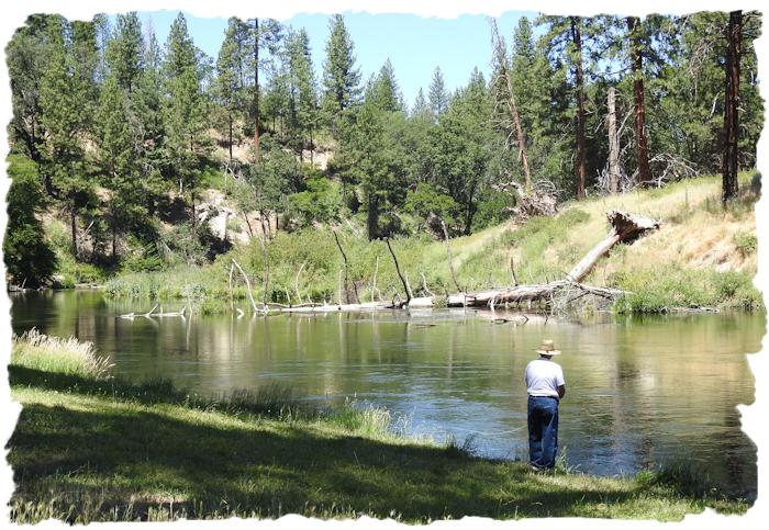 fishing from creek edge