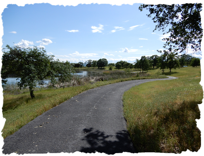 Secluded Pond Trail