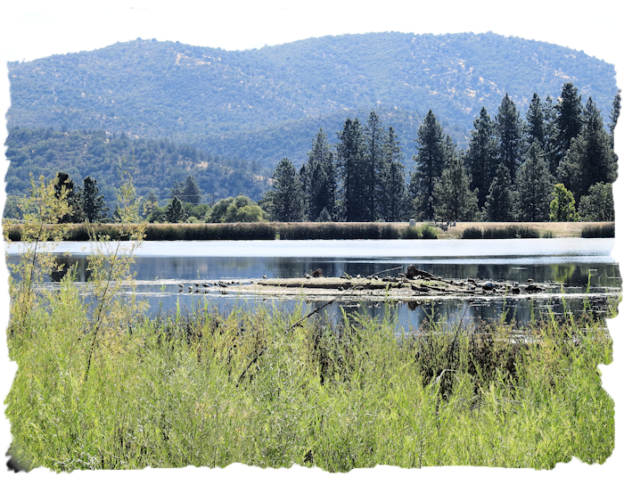 Yreka's Greenhorn Park