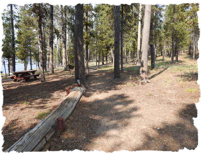 Medicine Lake trail