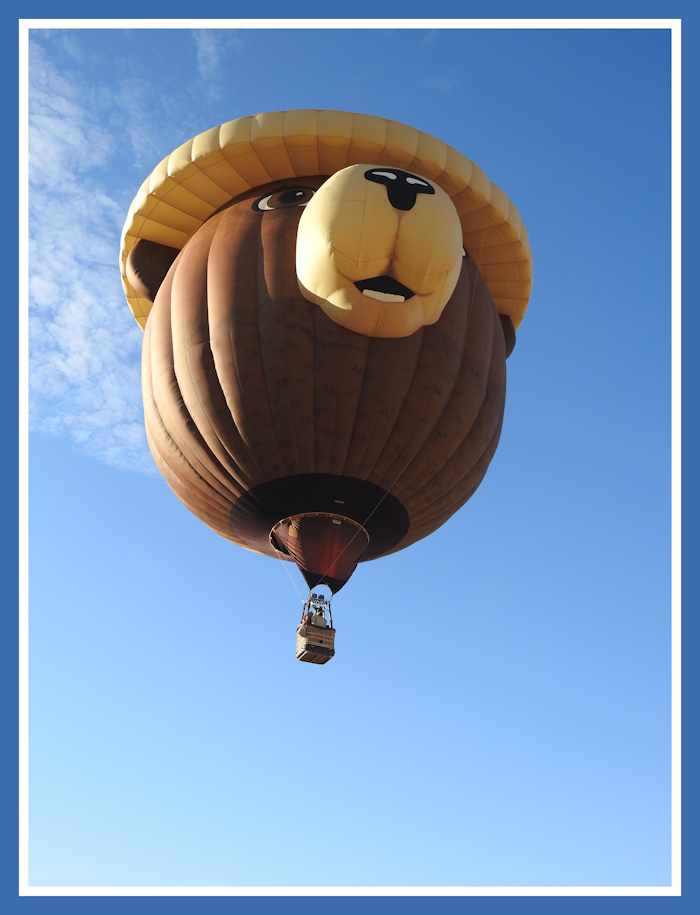 Smokey Bear Balloon