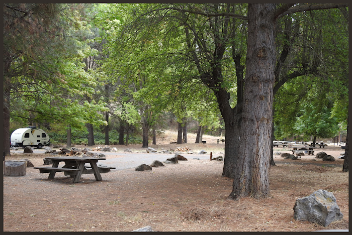 Tree of Heaven Campground