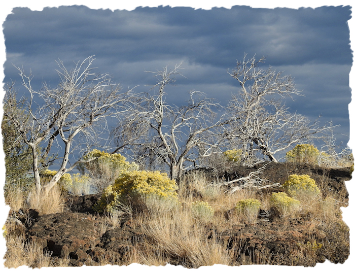 Lava Beds National Monument