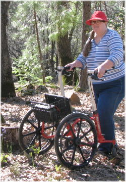 Walk'n'Chair in the forest